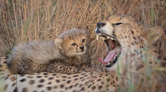 DN001-Its so BIG Ma.jpg