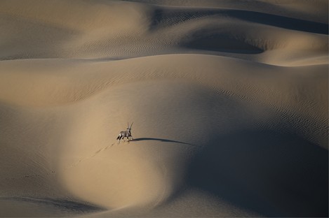 DN001-Namib warrior.jpg