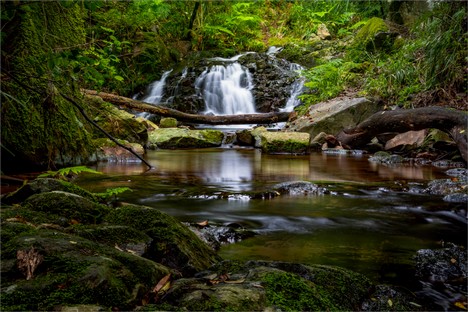 DN001-Tranquility .jpg